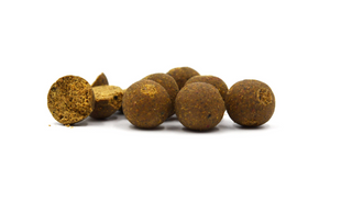 Бойли прикормочні варені HALIBUT / TIGER NUT 20мм 1 кг HT007 фото