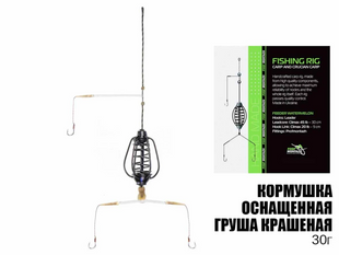 Кормушка оснащенная Груша крашеная 30г Hook №8  PM10430 фото