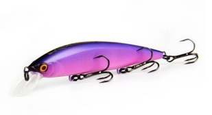 Bearking Rerange 110SP колір F Violet  07130 фото