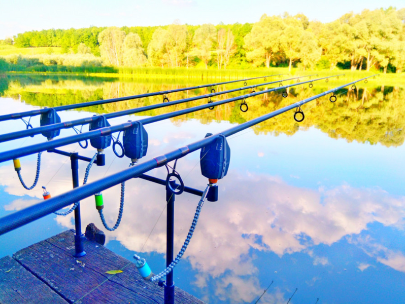 Набір стійок та буз барів World4Carp Stand Kit Universal 2 w209c фото
