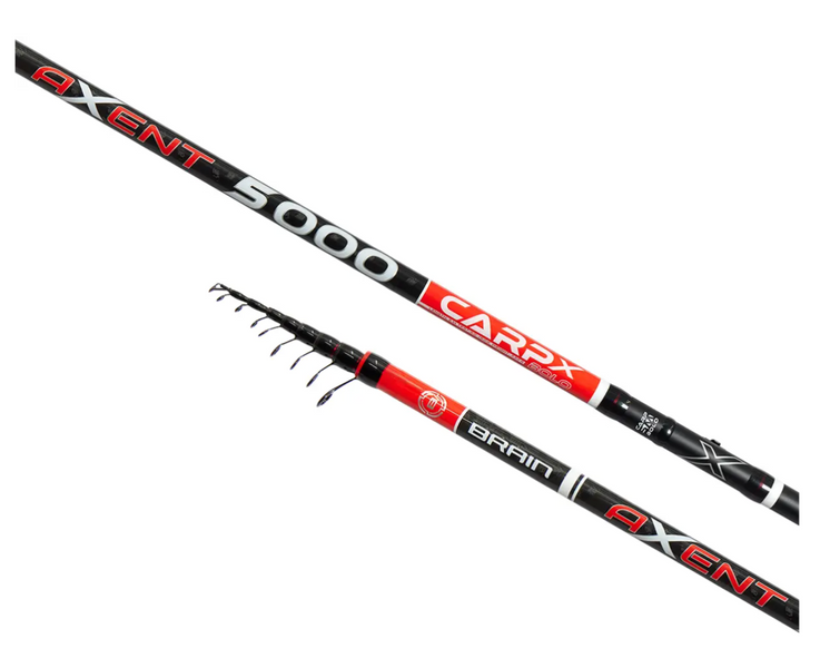 Болонське вудлище Brain Axent Carp X 5m 18584705 фото